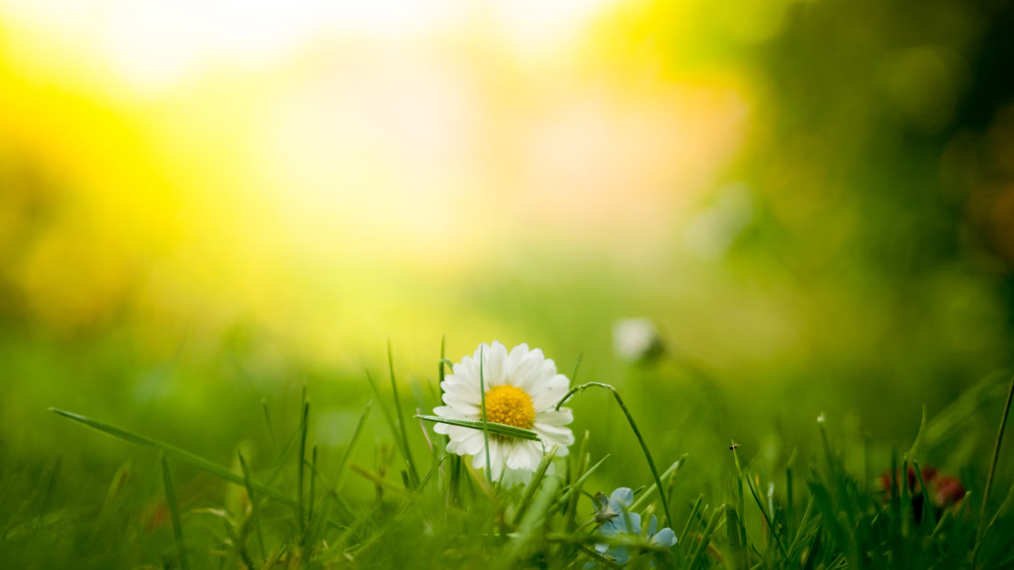 relaxed nature